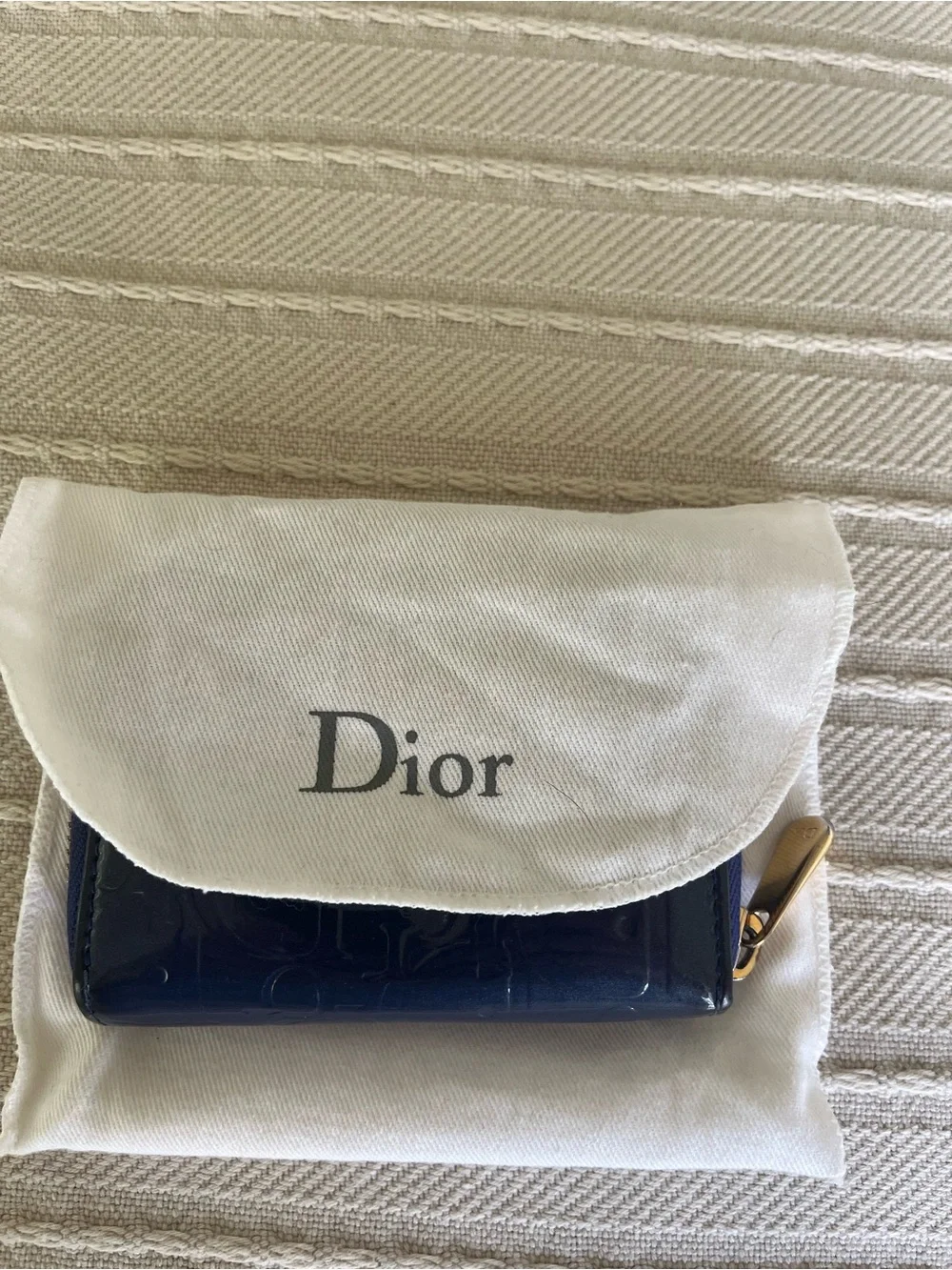 Dior Trotter small purple/teal Zip wallet